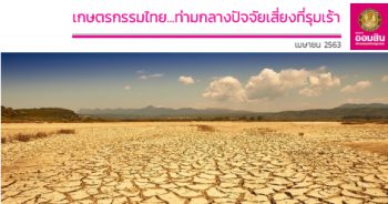เกษตรกรรมไทย ปี 2563