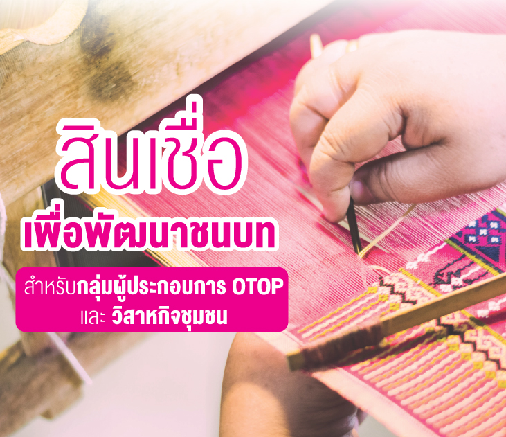 สินเชื่อพัฒนาชนบท กองทุนหมู่บ้าน 3