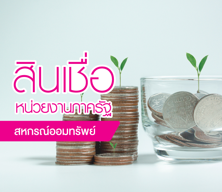 สินเชื่อสหกรณ์ออมทรัพย์