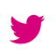 social icon