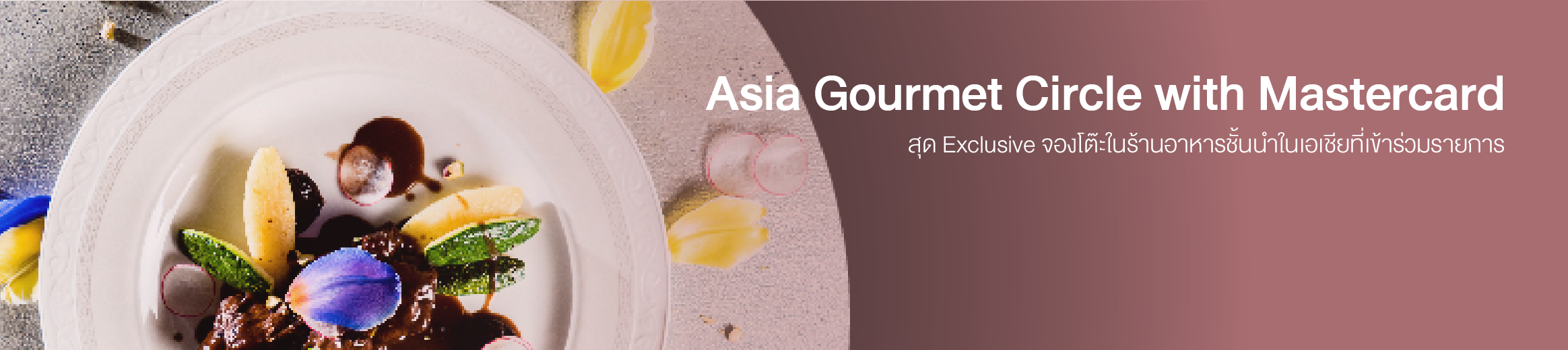 World Elite 05012569 12