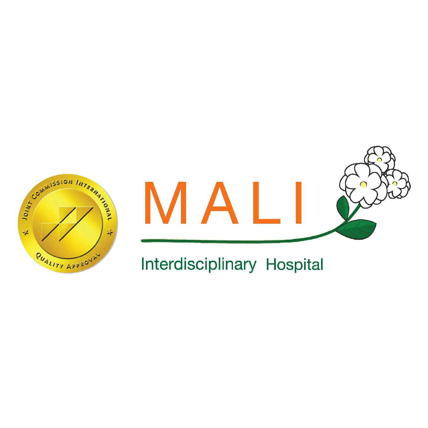 Mali Interdisciplinary Hospital 01