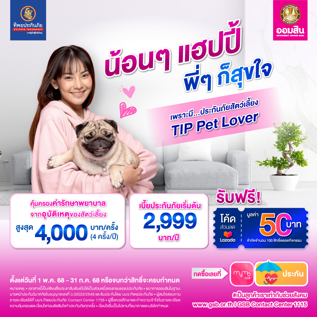 Tip X Gsb Pet 1040 X 1040 Px Rv2