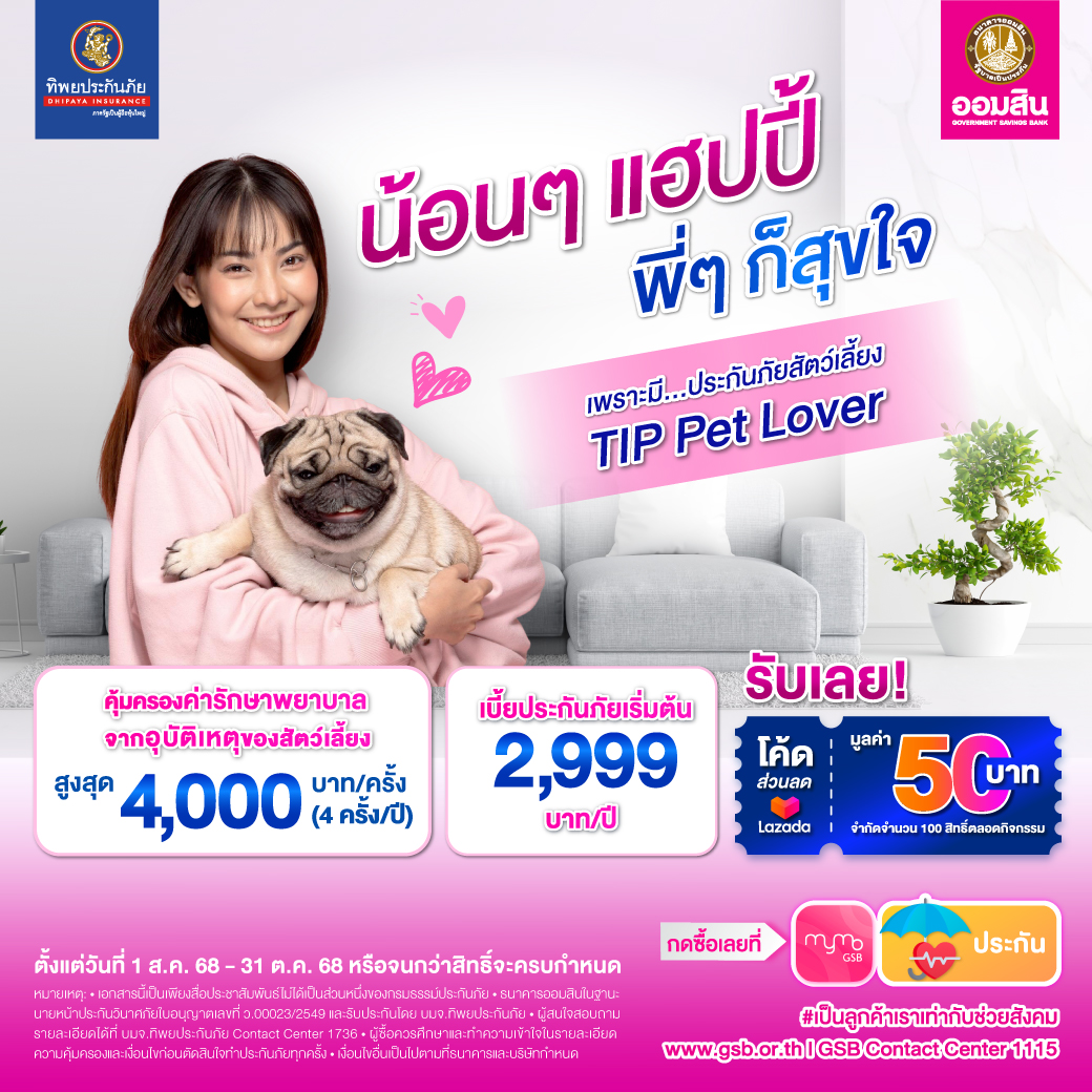 Tip X Gsb Pet 1040 X 1040 Px Rv3